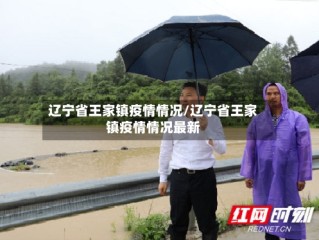 辽宁省王家镇疫情情况/辽宁省王家镇疫情情况最新
