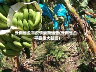 云南省金平疫情最新通告(云南省金平县重大新闻)