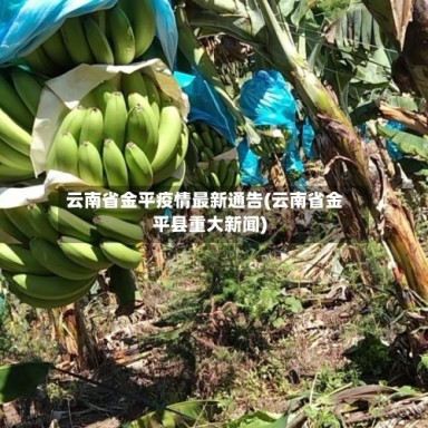 云南省金平疫情最新通告(云南省金平县重大新闻)