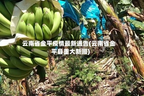 云南省金平疫情最新通告(云南省金平县重大新闻)
