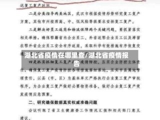 湖北省疫情在哪里查/湖北省疫情报告