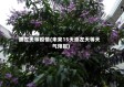 崇左天等疫情(未来15天崇左天等天气预报)