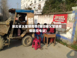 湖北省义堂镇疫情(湖北省义堂镇疫情防控电话)