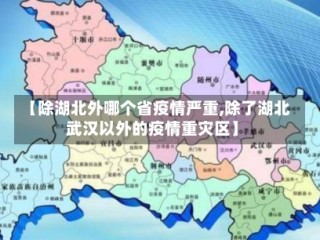 【除湖北外哪个省疫情严重,除了湖北武汉以外的疫情重灾区】