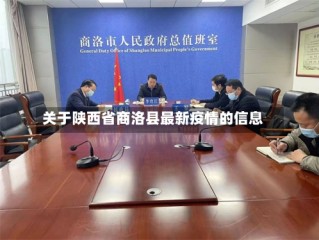 关于陕西省商洛县最新疫情的信息