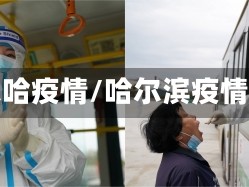哈尔哈疫情/哈尔滨疫情况