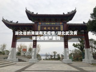 湖北省的黄陂有无疫情/湖北武汉黄陂区疫情严重吗