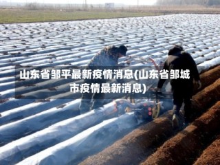 山东省邹平最新疫情消息(山东省邹城市疫情最新消息)