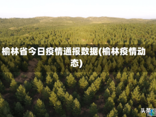 榆林省今日疫情通报数据(榆林疫情动态)