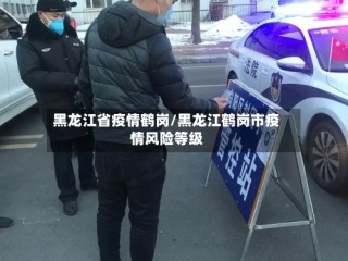 黑龙江省疫情鹤岗/黑龙江鹤岗市疫情风险等级