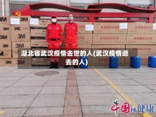 湖北省武汉疫情去世的人(武汉疫情逝去的人)