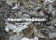 丹麦疫情石/丹麦疫情新增病例