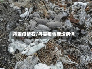 丹麦疫情石/丹麦疫情新增病例