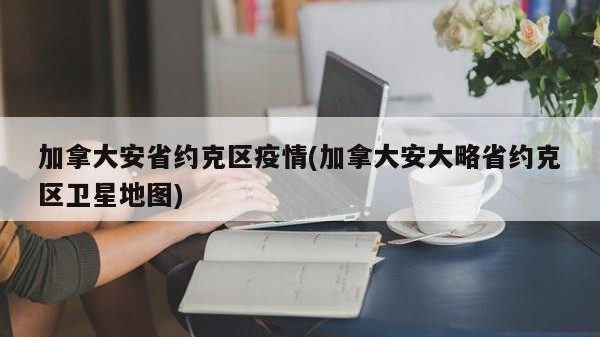 加拿大安省约克区疫情(加拿大安大略省约克区卫星地图)