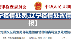 【辽宁疫情处罚,辽宁疫情处置情况通报】