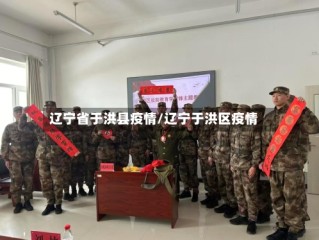 辽宁省于洪县疫情/辽宁于洪区疫情