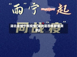 湖北省喊宁有疫情(湖北是否有新增病例)