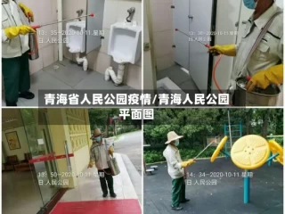 青海省人民公园疫情/青海人民公园平面图
