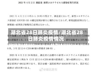 湖北省28日肺炎疫情/湖北省28日肺炎疫情情况