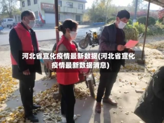 河北省宣化疫情最新数据(河北省宣化疫情最新数据消息)