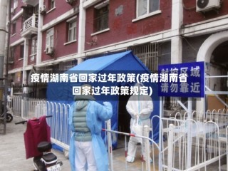 疫情湖南省回家过年政策(疫情湖南省回家过年政策规定)