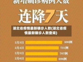 湖北省疫情最新确诊人数(湖北省疫情最新确诊人数查询)