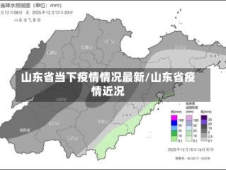山东省当下疫情情况最新/山东省疫情近况