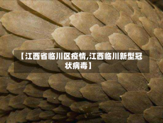 【江西省临川区疫情,江西临川新型冠状病毒】