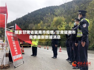 搜索甘肃省陇南市疫情/甘肃陇南市疫情最新数据消息