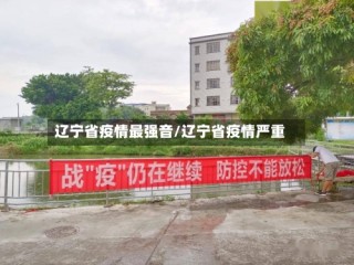 辽宁省疫情最强音/辽宁省疫情严重