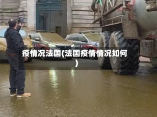 疫情况法国(法国疫情情况如何)