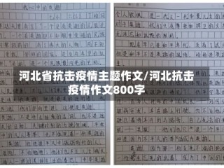 河北省抗击疫情主题作文/河北抗击疫情作文800字