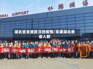 湖北省支援武汉的疫情/支援湖北各省人数