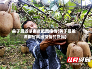 关于最近湖南省凤凰疫情(关于最近湖南省凤凰疫情的新闻)