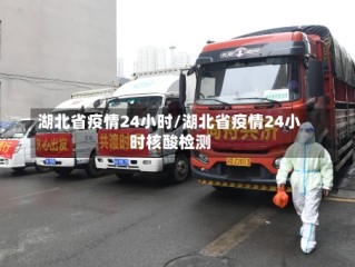 湖北省疫情24小时/湖北省疫情24小时核酸检测