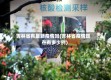 吉林省有最新疫情吗(吉林省疫情现在有多少例)
