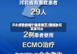 河北疫情都哪个省支援了/哪些地区支援河北