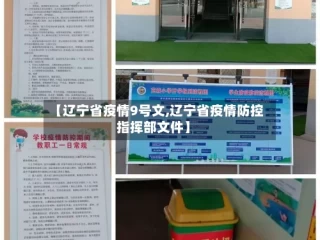 【辽宁省疫情9号文,辽宁省疫情防控指挥部文件】