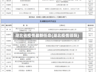 湖北省疫情最新任命(湖北疫情领导)
