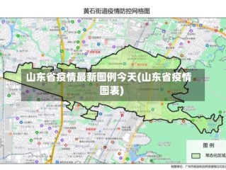山东省疫情最新图例今天(山东省疫情图表)