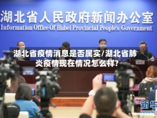 湖北省疫情消息是否属实/湖北省肺炎疫情现在情况怎么样?