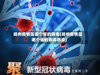 扬州疫情是哪个省的病毒(扬州疫情是哪个省的病毒感染)