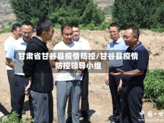 甘肃省甘谷县疫情防控/甘谷县疫情防控领导小组