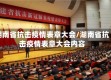 湖南省抗击疫情表章大会/湖南省抗击疫情表章大会内容