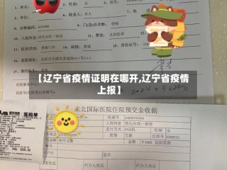【辽宁省疫情证明在哪开,辽宁省疫情上报】