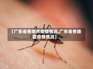 【广东省各地市疫情情况,广东省各地区疫情情况】