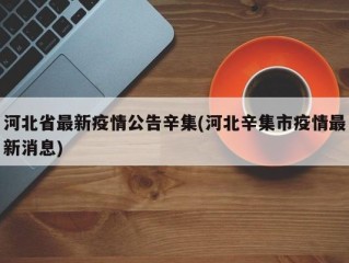 河北省最新疫情公告辛集(河北辛集市疫情最新消息)