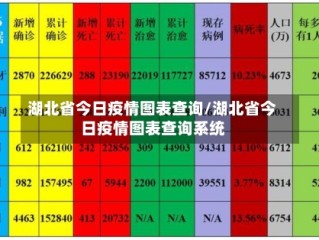 湖北省今日疫情图表查询/湖北省今日疫情图表查询系统