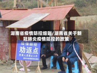 湖南省疫情防控细则/湖南省关于新冠肺炎疫情防控的政策