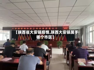 【陕西省大安镇疫情,陕西大安镇属于哪个市区】